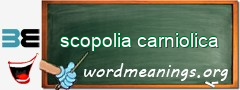 WordMeaning blackboard for scopolia carniolica